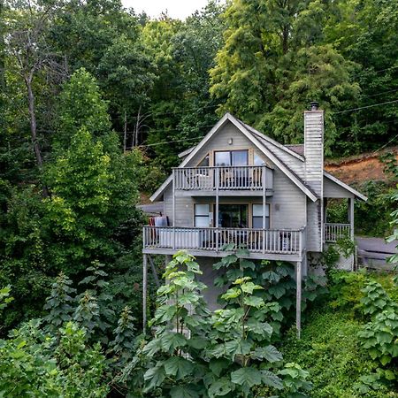 Holly Tree Cabin 936 Гатлинбург Экстерьер фото